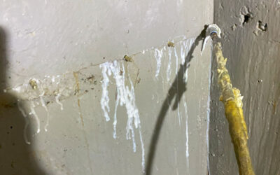 The Ultimate Guide to Epoxy Concrete Crack Injection