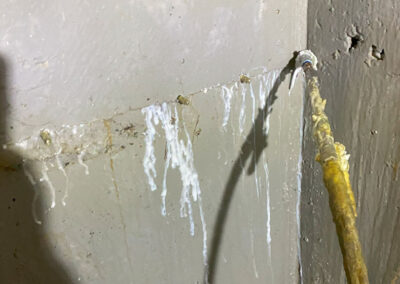 Potts Street, East Brisbane Crack Injection