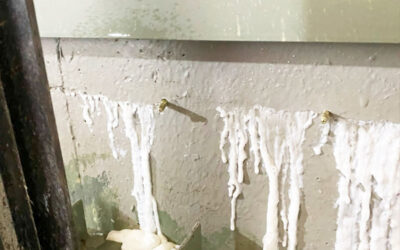 Why Chemical Injection Waterproofing is The Ultimate Solution for Leaky Basements and Concrete Cracks